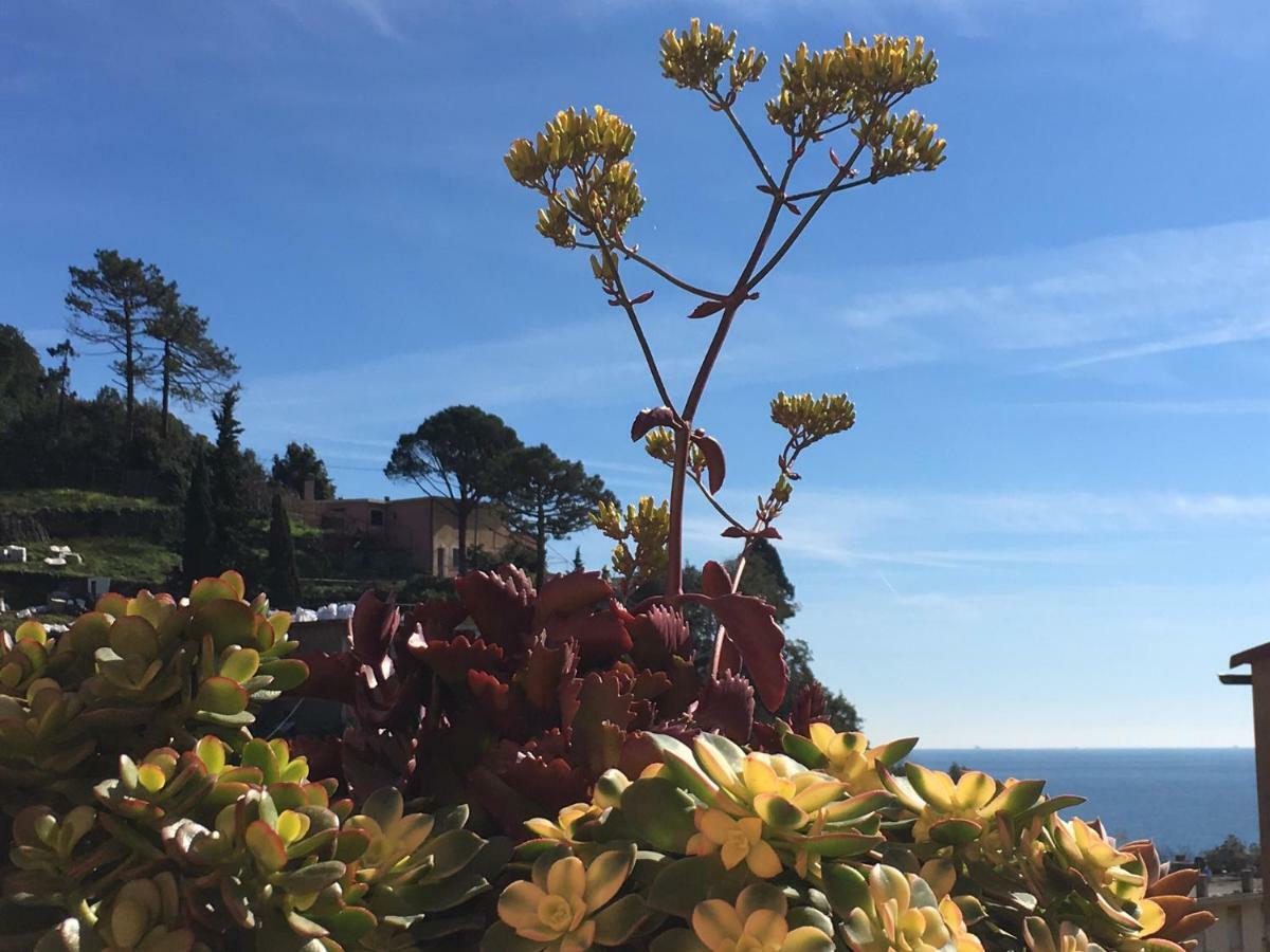 Cinqueterreblu Bougainvilleap Monterosso al Mare Exteriör bild